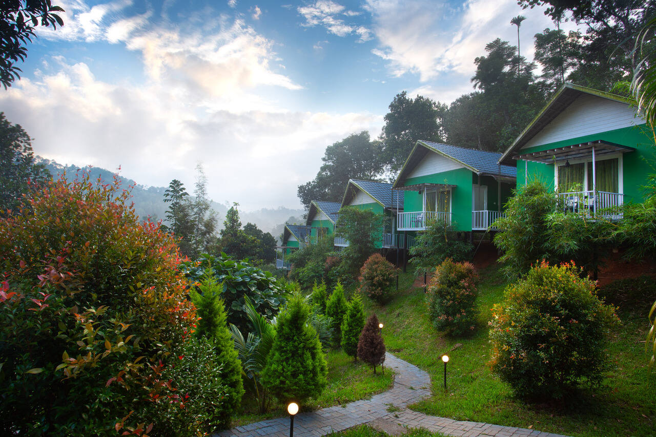 The Arbour Resort